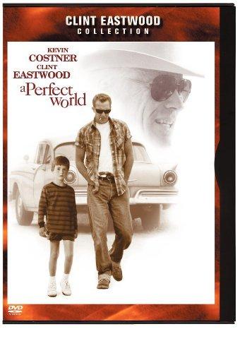A Perfect World cover